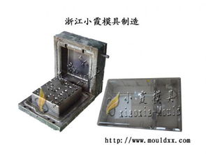 中国2表位塑胶电表箱模具厂家,专业注射2表电表箱模具开模